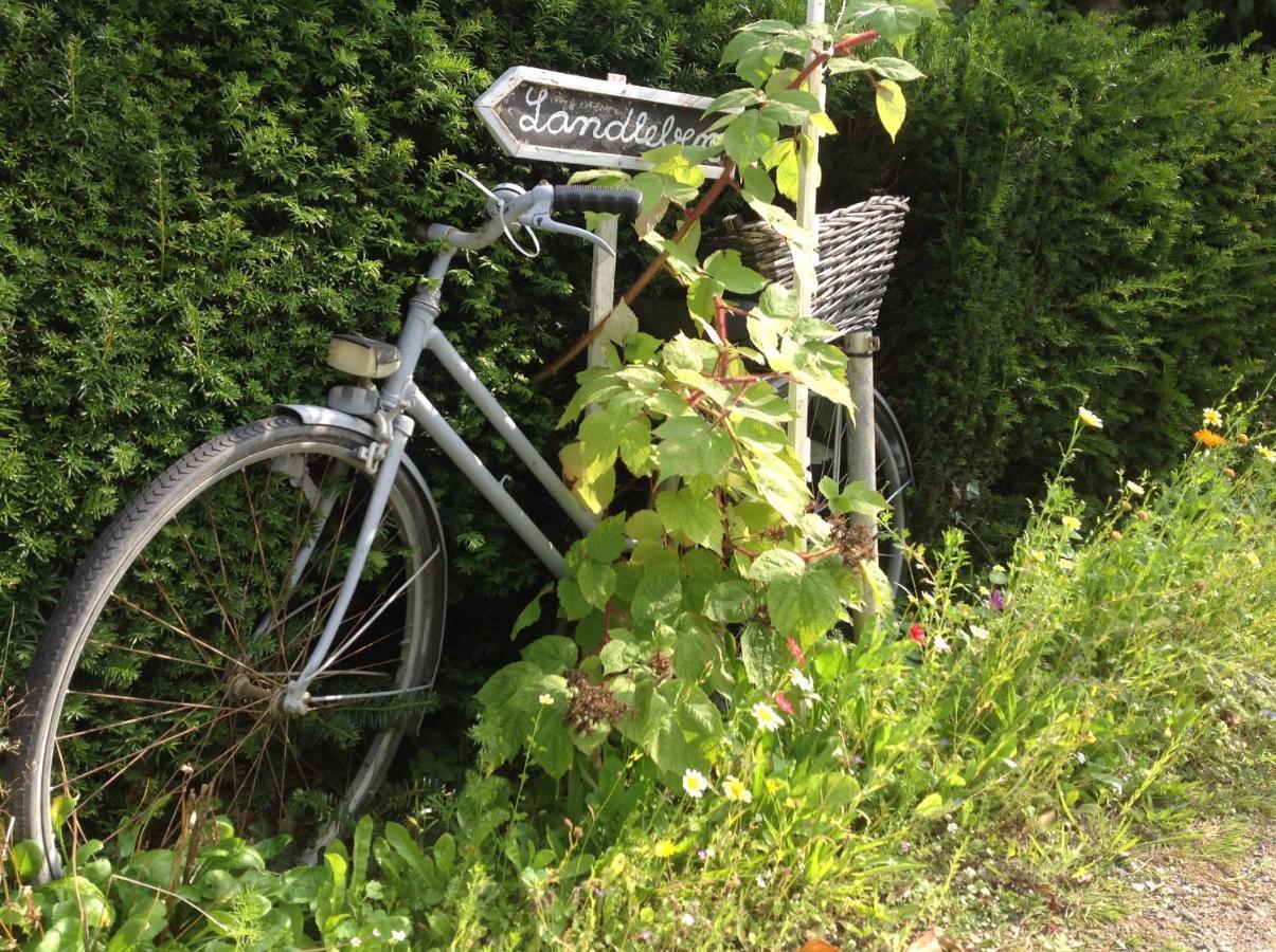 Appartamento Kleine Landliebe Hohwacht Esterno foto