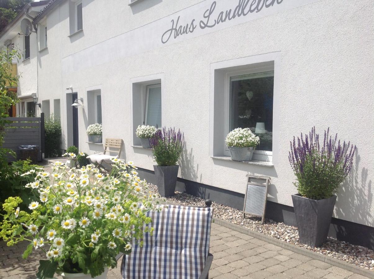 Appartamento Kleine Landliebe Hohwacht Esterno foto